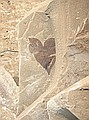 Counterpart of previous heart-shaped leaf.