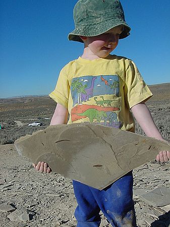 Sam showing off some fossil leaves that he found.