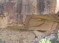 Petrogylphs in sandstone wall.