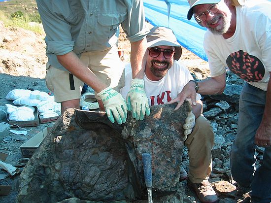 Some of the gang show the incredible block of fossil leaves they pulled from the quarry.  You have a good feeling that you're dealing with a fossil rainforest when you find leaves that span from the ground to your knee!!!