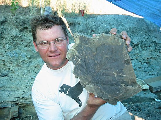 Kirk Johnson showing a particularly large Platunus with cuticle extracted from the quarries on this day.