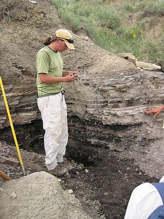 Rich Barclay in an outcrop named "Big Phone Booth".  Bottom of outcrop is carbonaceous mudstone, above that is coal (lignite), then a white ash layer, then Paleocene plants.  Thus, the K-T boundary has been crossed in this single outcrop.  Evidence of K-T is present in pollen, shocked quartz, Iridium and a 50% extinction rate of plants.