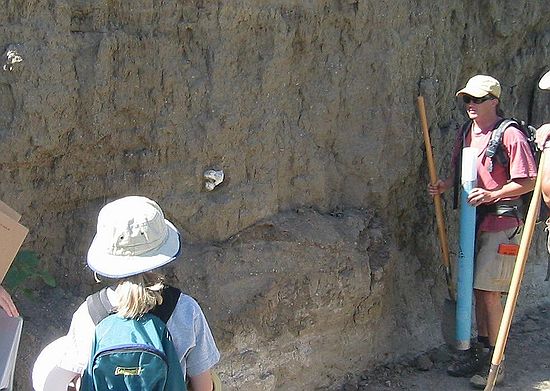 When exploring a new area, sometimes it's hard to determine which fossils are important to ongoing research and which are not.  In this case, a fossil bison leg bone is protruding from the cut bank of a gully.  As Rich Barclay explains, generally, DMNS is not interested in these "young" bones.