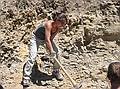 Jessica working hard in the fossil leaf quarry.