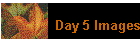 Day 5 Images