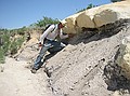 Bob Raynolds puts his finger on the D1/D2 contact at Calhan Paint Mines.  The darker material below is a lignite bed with layers of ash.  Kirk Johnson took samples for dating.