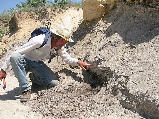 Bob Raynolds points out an ash layer in the lignite beds.  This ash layer has been dated at 63.8 mya.