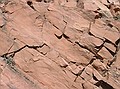 The Lyons formation is often has large wedge shaped bedding which is common in sand dunes.  Breaks in concoidal fractures because of quartz cemented by quartz.