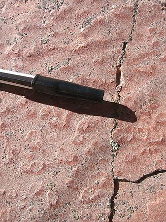 Small raised areas are the result of raindrops hitting the surface of the adjancent sand.  Then, this sand layer covered the other sand and filled in the holes, making these inverted (raised) raindrop marks. (This is the bottom surface of the rock)