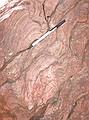 Lykins Formation: consists of red, thin-bedded, sand siltstones and shales, including  dolostone and limestone layers. The image here shows layers of fossil algae known as Stromatolites. The limestone, dolostones, siltstones, and shales formed in a marine environment.\n\nThe stromatolites are present in the Forelle member (dolostone) of the Lykins.  These algal mats are very calcareous and fizz intensively with a drop of hydrochloric acid (HCL).  This is the side view of a very large stromatolite showing the thin laminations.  [Stromatolites: Structures produced by cyanobacteria by entrapment of sediment grains on the sticky surfaces of the bacteria.]