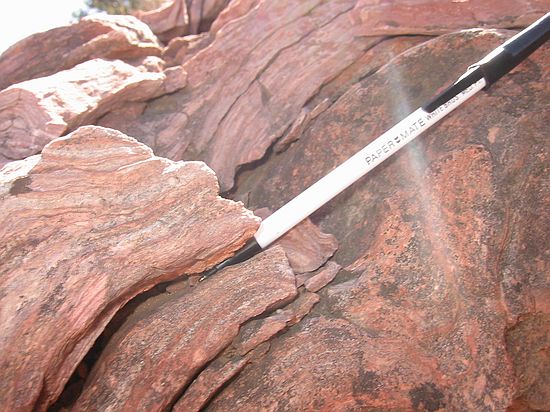 Lykins formation, Forelle member: Side view of stromatolite showing the thin algal mat laminations.  It's believed that the widespread presence of stromatolites contributed to the conversion of carbon dioxide to oxygen in the Earth's atmosphere.