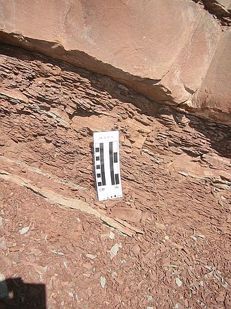 Upper Lykins formation: Alternating deposition of muddy shales (below) and sand (above).  Sandstone is much more resistant to erosion than shales.  That is why the sandstone ledge sticks out further than the underlying shales.