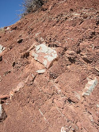 Upper Lykins formation: More mudcracks filled with gray rock