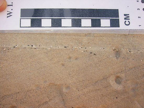 Canyon Spring sandstone: "Lag sands" (tiny pebbles) which are transported, broken apart and evenly dispersed in high winds of dune environment.
