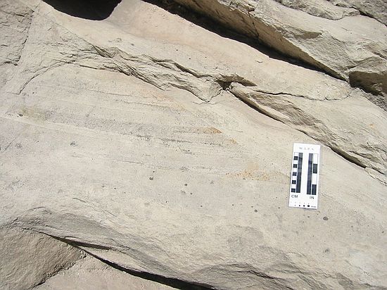 (Broader view of previous 2 images.)  Canyon Spring sandstone: truncated crossbeds of sand dune.
