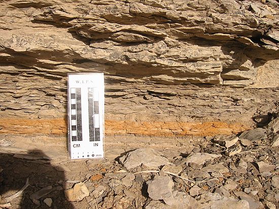 Tan/yellow line is a layer of volcanic ash.  The ash came fell on the surface of the ocean and settled to the bottom.  Volcanic ash is a great time marker because it can be accurately dated using radiometric techniques.  Niobrara formation, Smoky Hills member.
