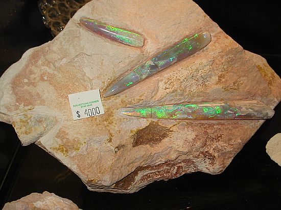 Opalized Belemnites\nNeohibolites sp\nCretaceous\nCoober Pedy (The Opal Capital of the World" )\nOutback of South Australia