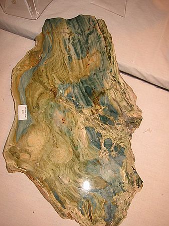 Petrified Swamp Bog\nApprox 14 mya\nTrout Creek Formation (11-14 mya)\nWood, algae and swamp debris were covered over and petrified together. Minerals seeping in for millions of years created the color.\nJohnson Lapidary\nSparks, NV