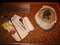 Fossil Preparation - Tools of the Trade\nMuseum paleontologists and preparators use the tools in this case to remove fossils from the sediments in which they were fossilized.  This plaster jacket contains a molar of a Columbian Mommoth (Mammuthus columbi).