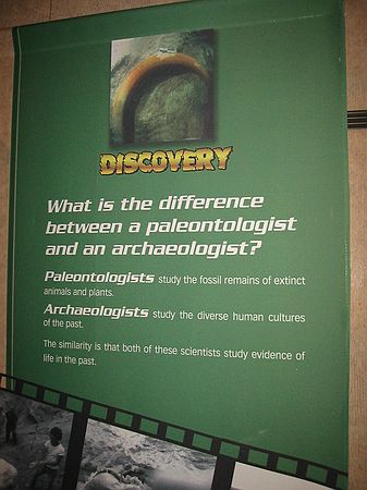 A picture of this sign was necessary because many people call you an "archaeologist" if you say you work with fossils!