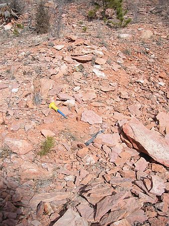 Trilobite hunting in formation believed to be Ordovician and known as Manitou Dolomite. (A slice of time pushed up by the Rockies.)