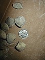 Unidentified brachiopods I found at White Mound.\nnear Sulpher, Oklahoma in Arbuckle Mtns.\nPat and Merylyn Howe's "White Mound" property
