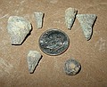 Horn corals and crinoid stems I found at White Mound.\nnear Sulpher, Oklahoma in Arbuckle Mtns.\nHaragan Fm., Hunton Group.\nPat and Merylyn Howe's "White Mound" property