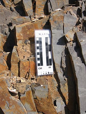 The Woodford Shale (a Mississippian shale that is the source of most of Oklahoma's oil).