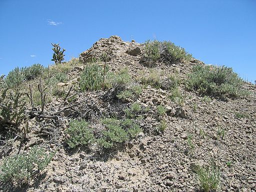 The Tepee Butte on northern end of east flank of Baculite Mesa.  This was a very productive butte for me, but it takes patience and close attention to details.