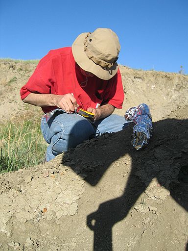 "Marking orientation and GPS reading on foil."\n(for Bison antiquus - radius/ulna)\n\nSpec#: SW00043\nLocality: SW0313\nPierre Shale, Cretaceous, private\nBaculite Mesa - Pueblo Cty, CO\nCollector: Steve Wagner, 5/2004