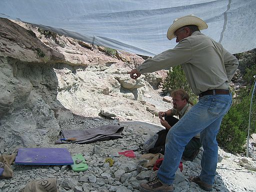 Quarry. Jim Cornette (foreground) and Bruce Schumacher, paleontologist, U.S. Forest Service.