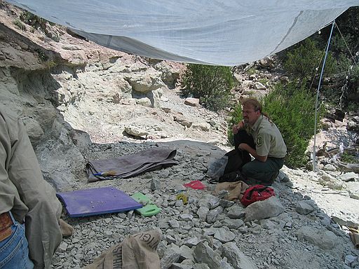Quarry: Bruce Schumacher, paleontologist, U.S. Forest Service