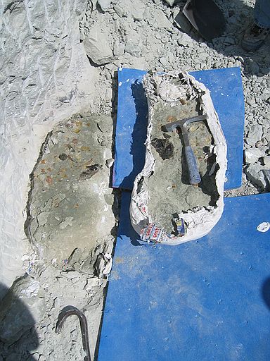 Process of jacketing: (8) After jacket dries, thin steel chisels are used to "pop" the jacket bone from the rock pedestal.  This specimen came off flawlessly.  Jacketed bone on blue mat (right).  Remaining rock pedestal (left).
