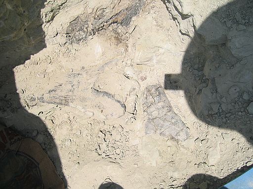 Sauropod bones being recovered from quarry.  Compare this image to the next.  Bone at middle, right has been removed in the next image.  And, the bone at right has been cleared and is on a pedestal in the next image.