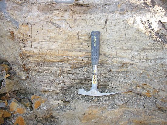 Sedimentary layers showing paleocurrents.  Black vertical lines are likely roots or burrows from small creatures.